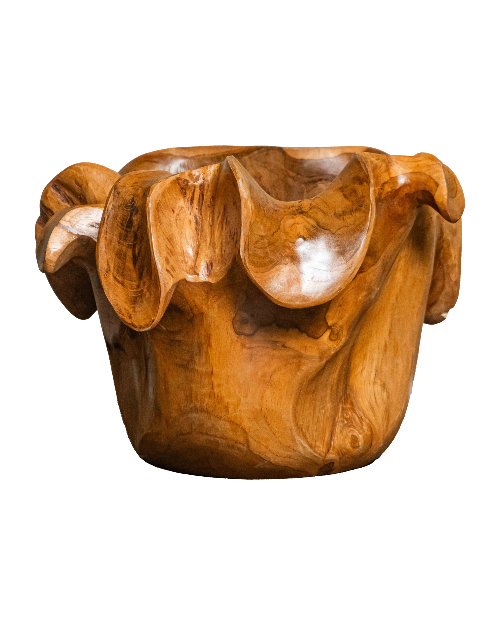 Teak Root Blooming Petal Vase