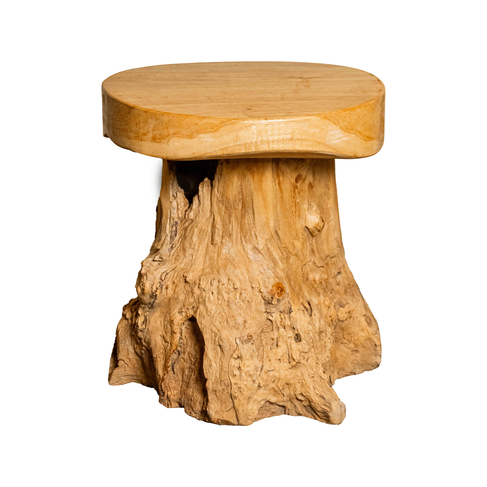 Teak Root Mushroom Stool