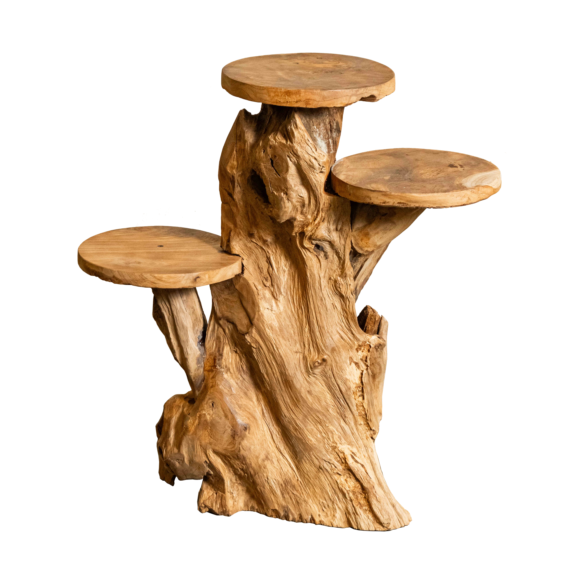 Organic Teak Root Display Stand